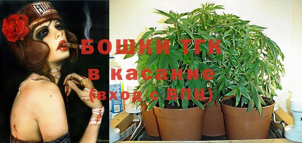 крисы Магас