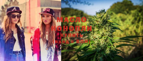 крисы Магас