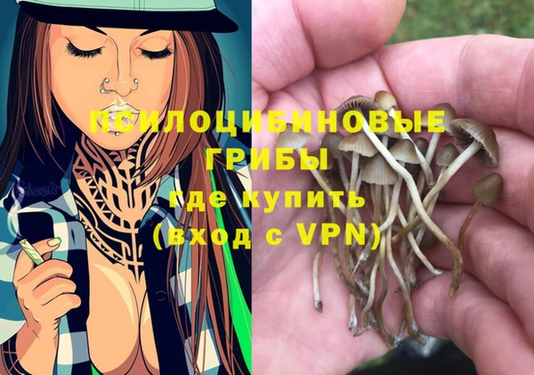ГАЛЛЮЦИНОГЕННЫЕ ГРИБЫ Абдулино