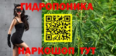 гидропоника Пушкино