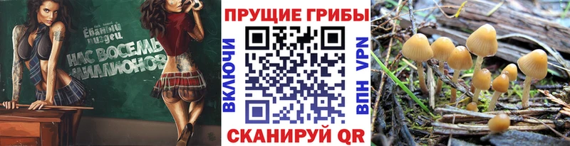Галлюциногенные грибы Magic Shrooms  Оренбург 