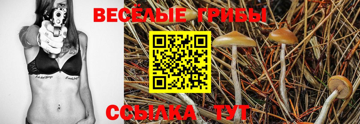 Галлюциногенные грибы мухоморы Оренбург