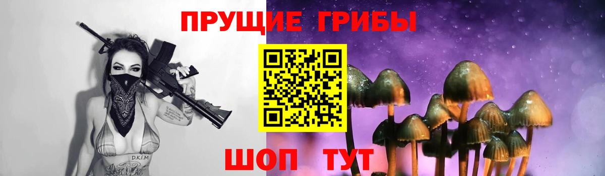 продажа наркотиков  Вход с VPN  Оренбург  Галлюциногенные грибы Psilocybine cubensis 